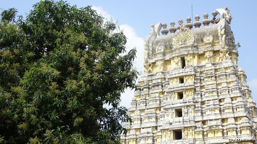 Temple d'Ekambareshwarar à Kanchipuram, sanctuaire monumental dédié à Shiva, célèbre pour son gopuram imposant, sa salle aux mille piliers et son manguier sacré millénaire.