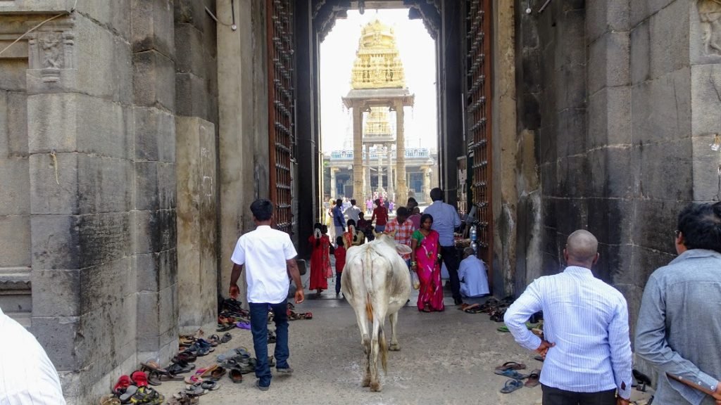 kanchipuram, temple de varadarajar